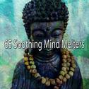 65 Soothing Mind Melters专辑