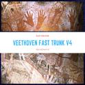 VEETHOVEN FAST TRUNK VOLUME 4专辑