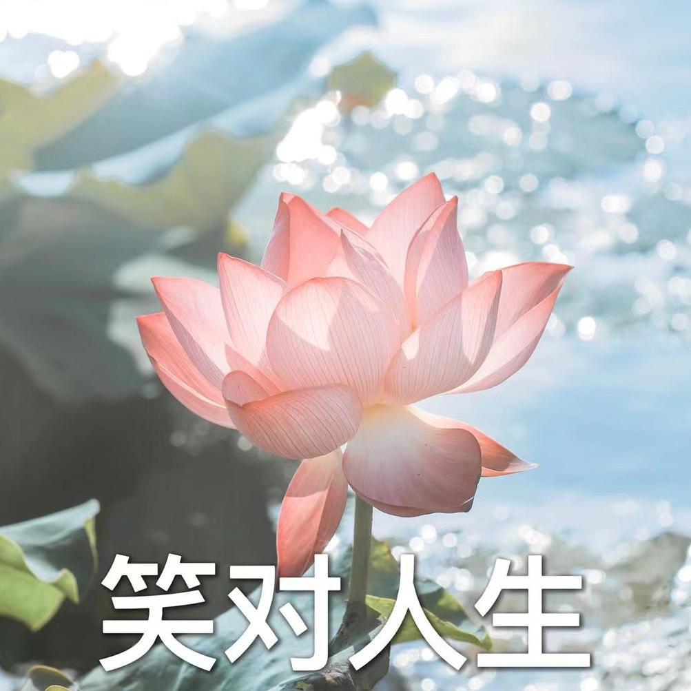 翻唱合集