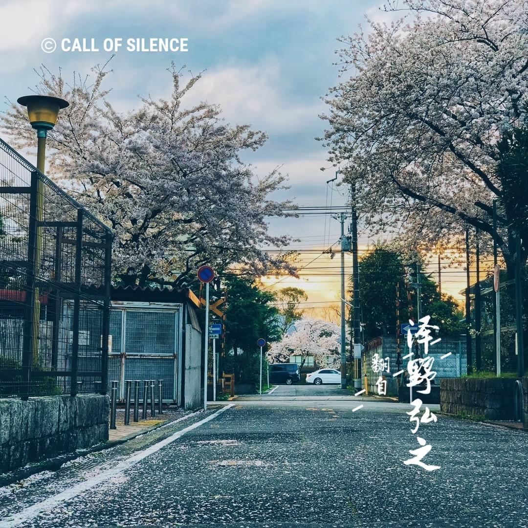 Call of silence专辑