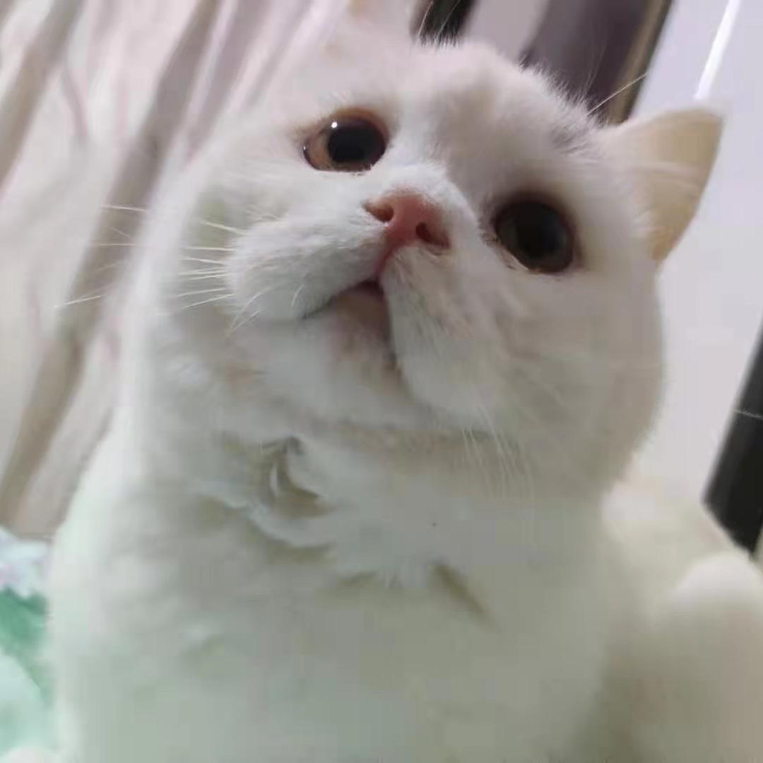 玩具箱