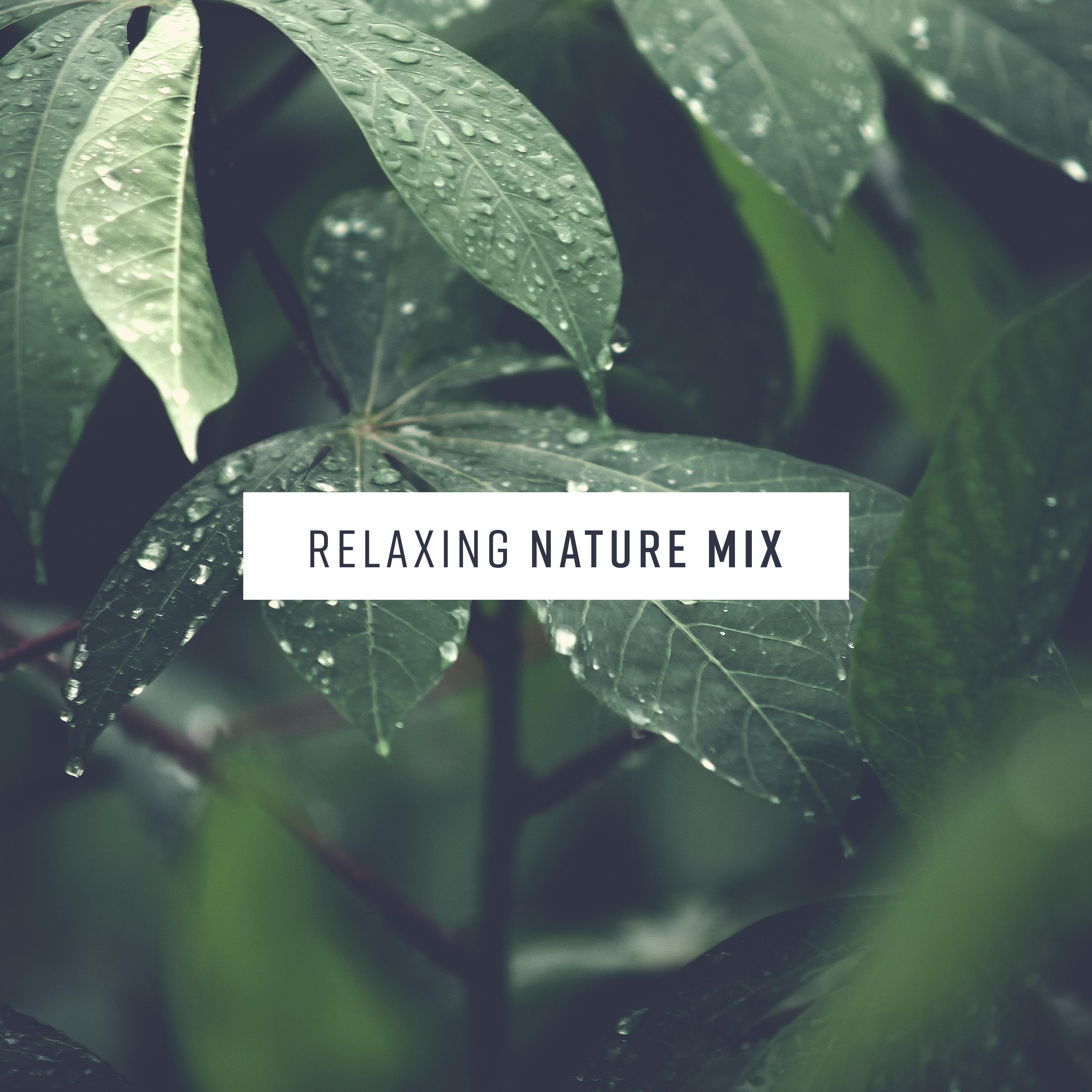 Relaxing Nature Mix专辑