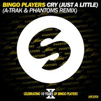 Cry (just A Little) - Bingo Players (unofficial Instrumental)