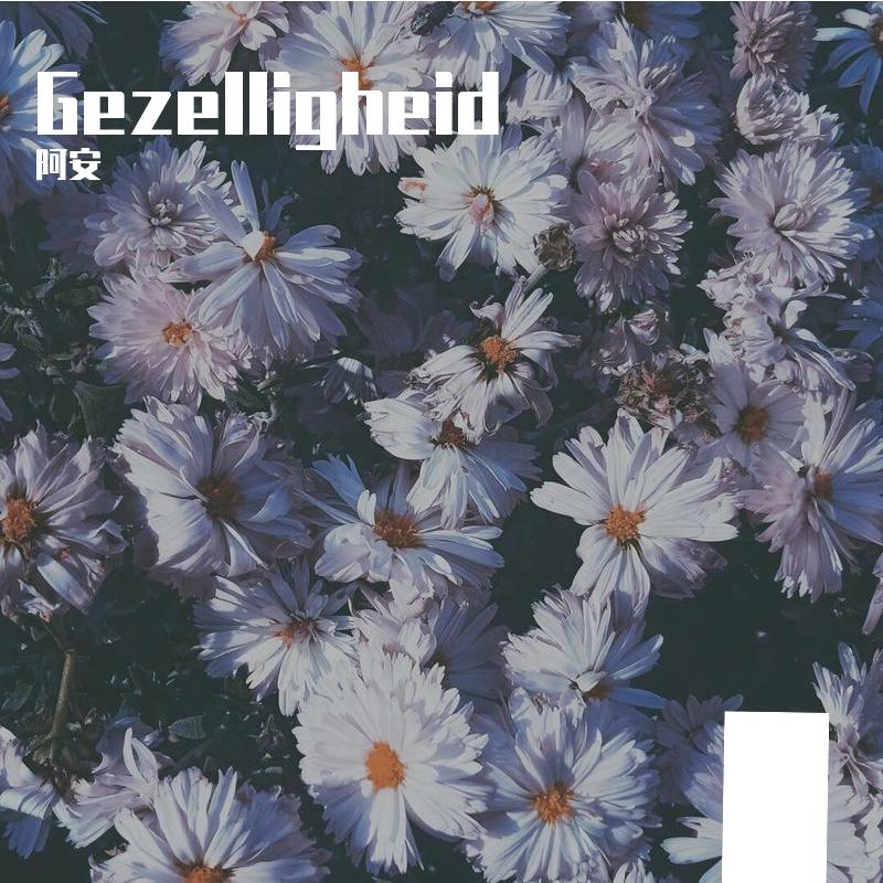 Gezelligheid