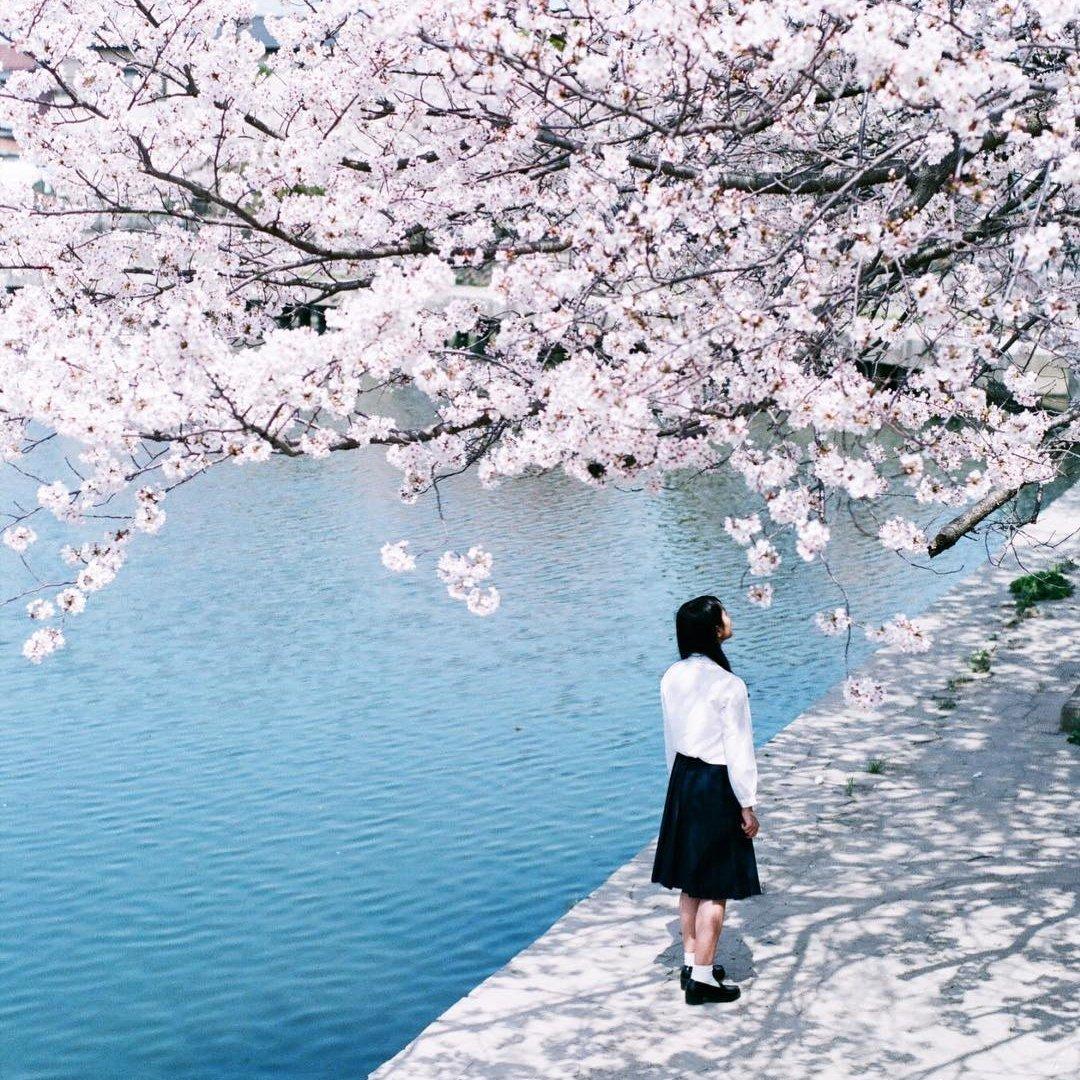 摄影专用 | 日系小清新写真