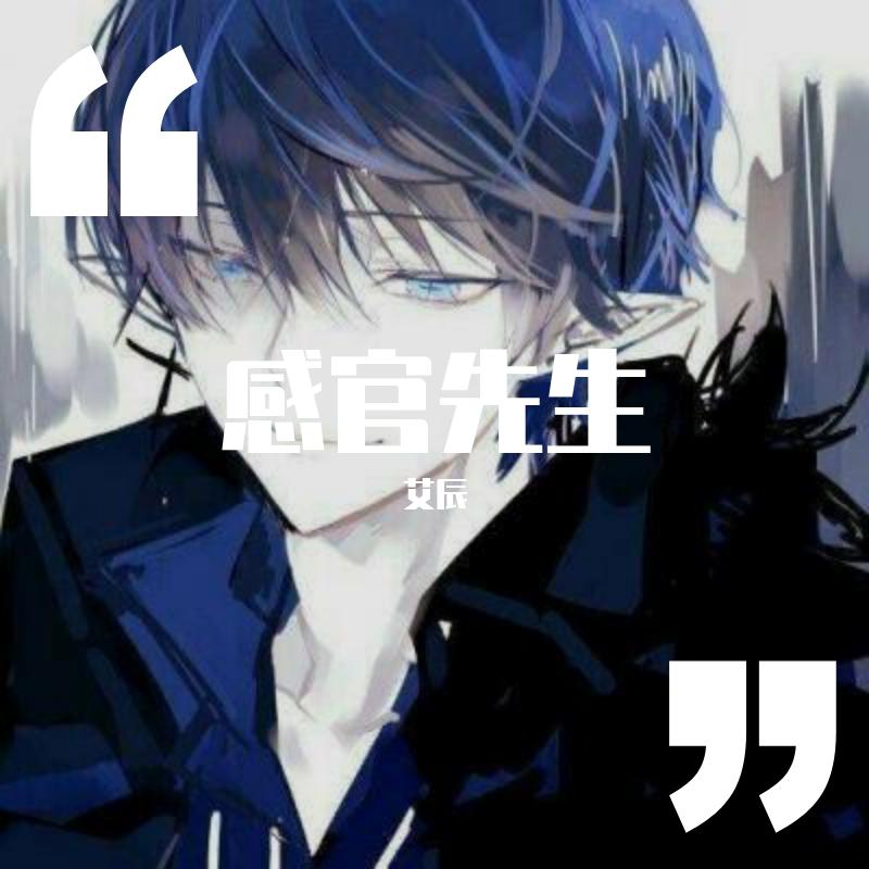 感官先生-艾辰（翻自 刘凤瑶）