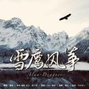 雪鹰风筝 ——记 Alan Dzagoev