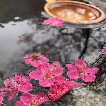 70/80/90华语流行怀旧经典