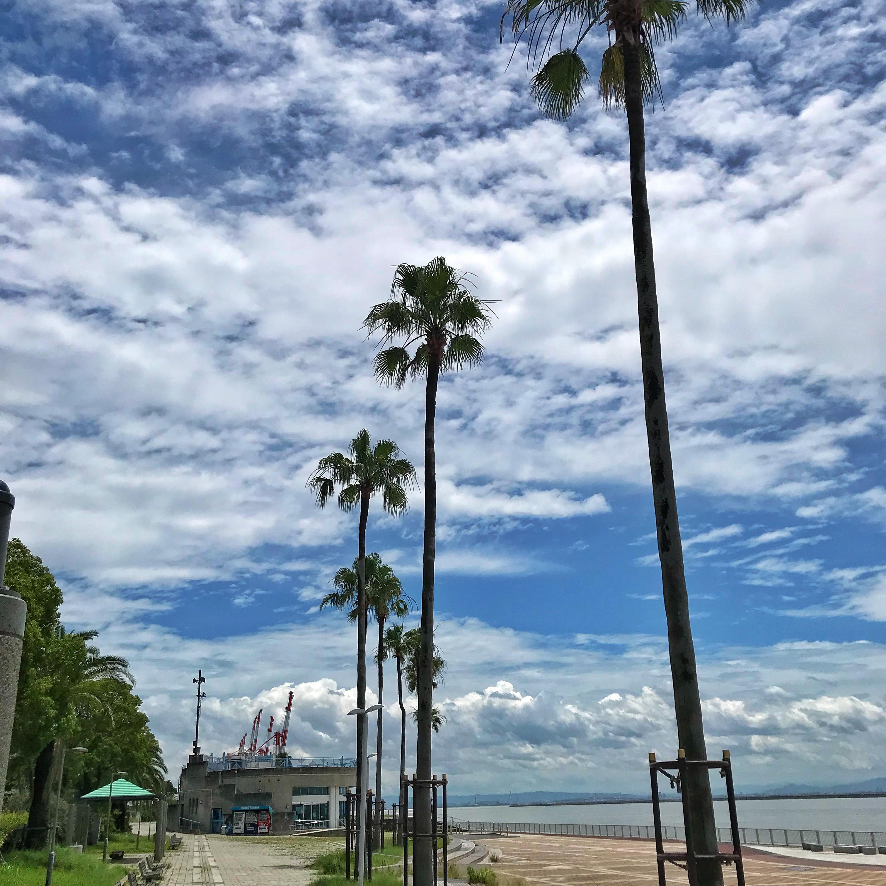 Goodbye my Lover-(Remix)（DruGTRaffickerS remix）