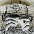 Beautiful Raw Instrumentals