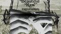 Beautiful Raw Instrumentals专辑