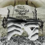 Beautiful Raw Instrumentals专辑