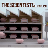 Willie Nelson - The Scientist (unofficial Instrumental)