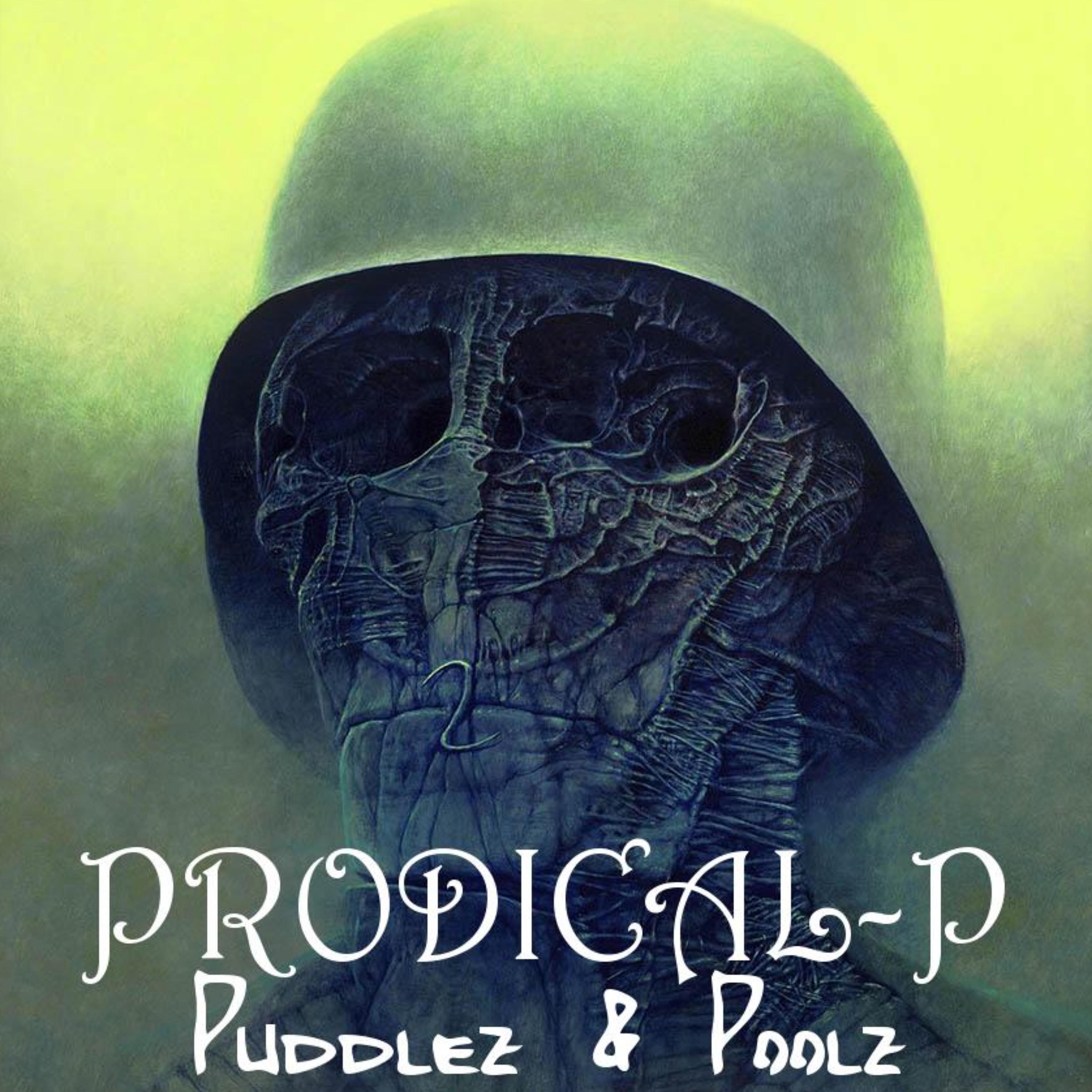 Prodical-P - Puddlez & Poolz