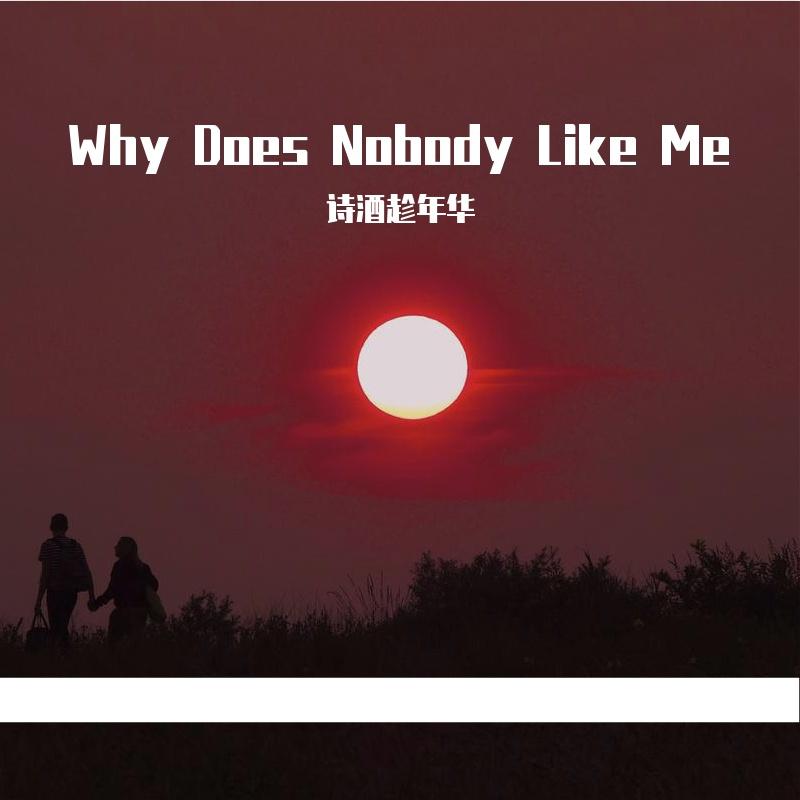 Why Does Nobody Like Me