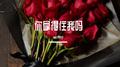 你拿得住我吗专辑