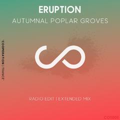 Eruption (Extended Mix)