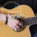 Seginix