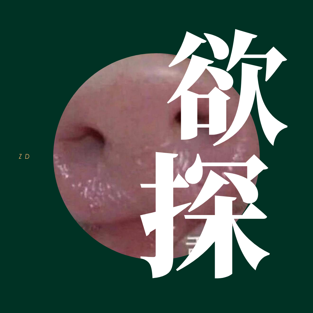 欲探专辑