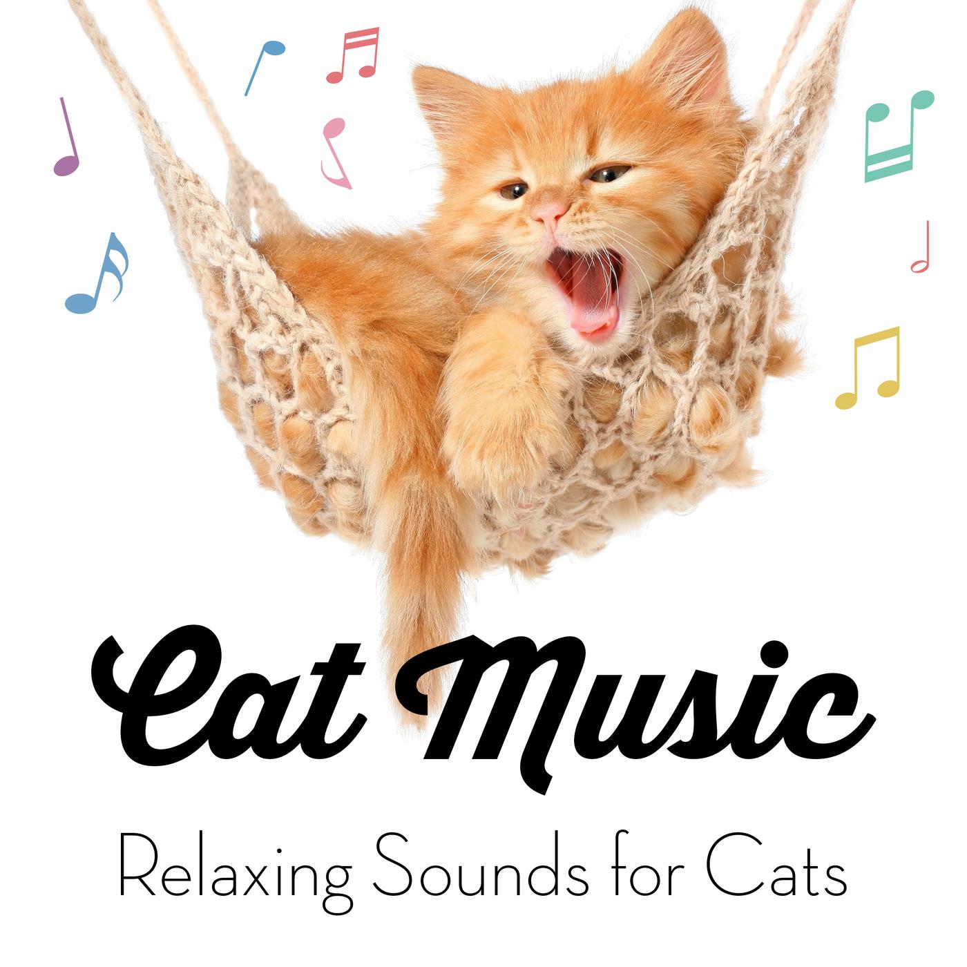 Cat Music - Relaxing Sounds for Cats专辑