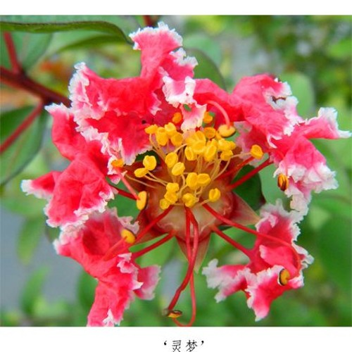 空白
