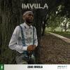 Zane_mvula - Gender_Based_Violence (feat. Andile & G-roque) (Radio Edit)