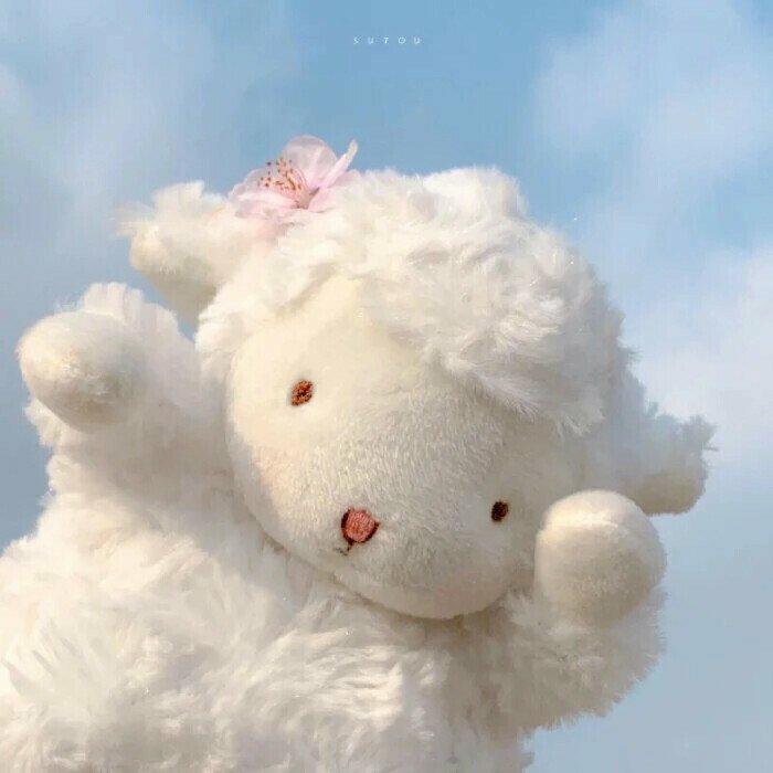开心 | 心情变好可爱欢快向 治愈不开心❤️