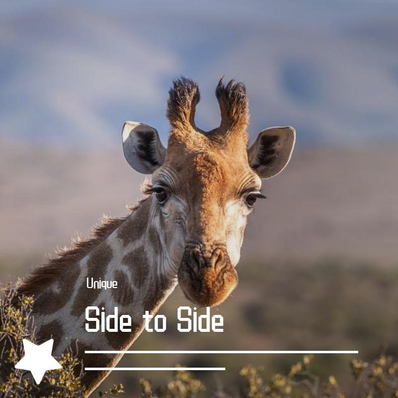 Side to Side