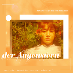 der Augenstern（《白月不是光》田柾国授权角色曲）