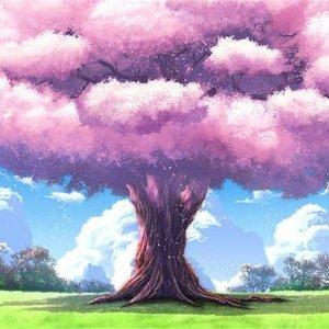 樱花树下的重逢