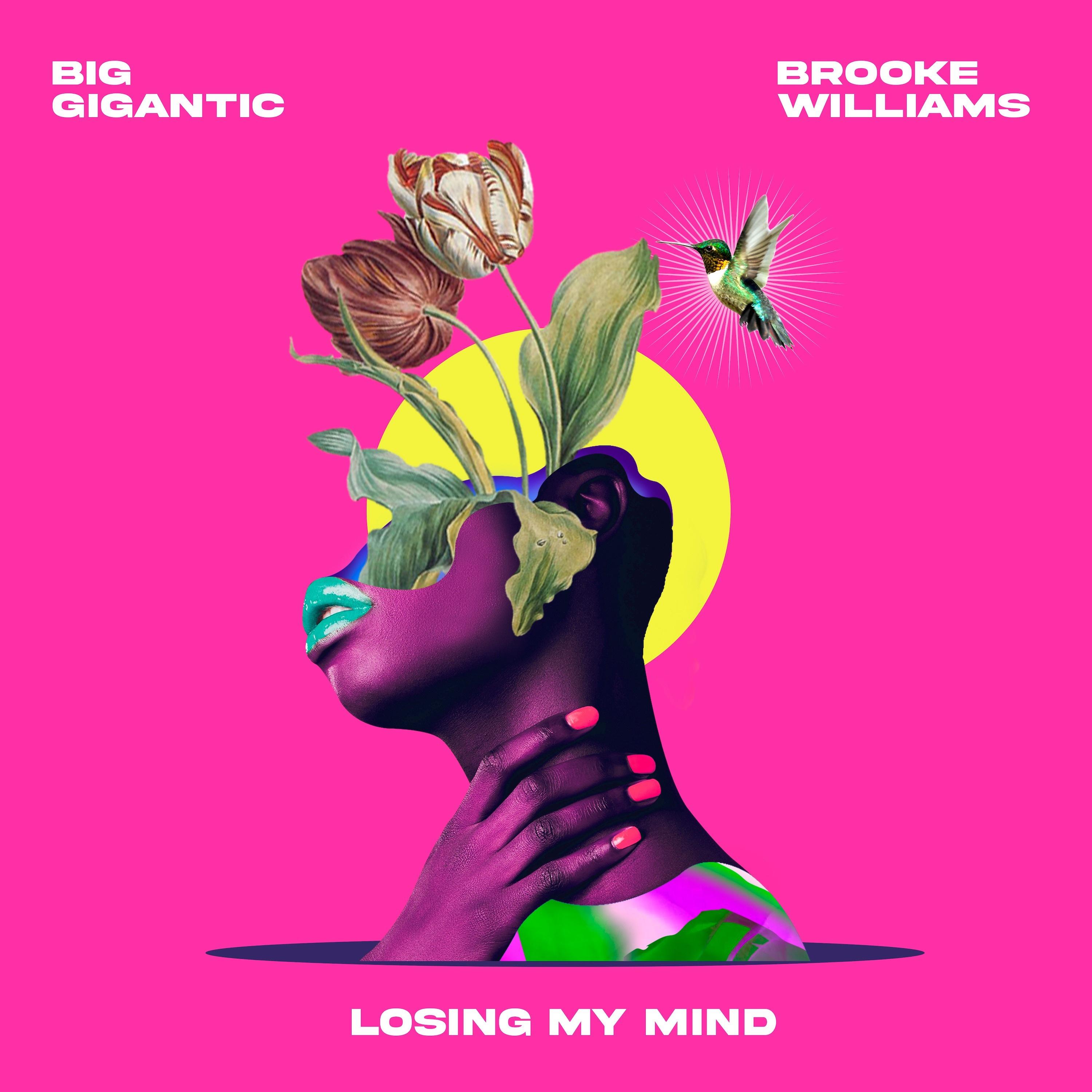 Big Gigantic - Losing My Mind