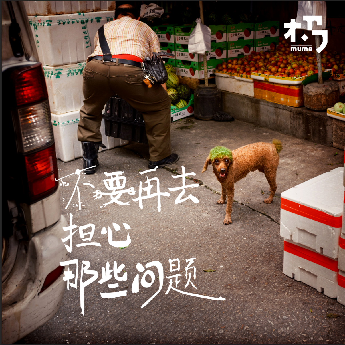 木马乐队《不要再去担心那些问题》[MP3_LRC]_MP3免费下载