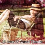 25 Auras Of Natural Thunder专辑