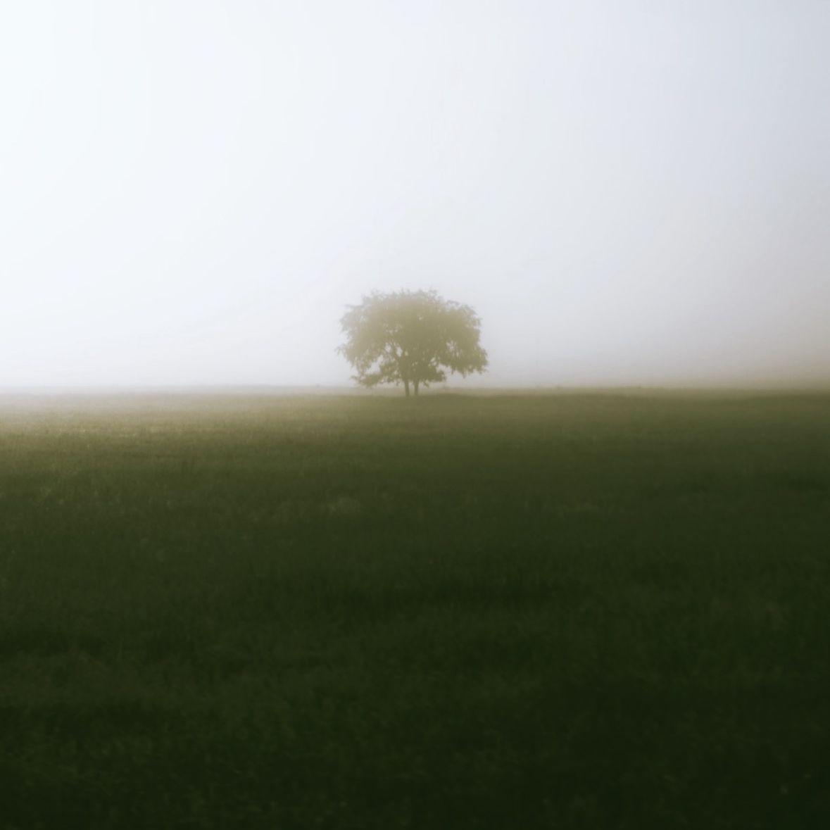 将过去抱得太紧，就腾不出手拥抱现在