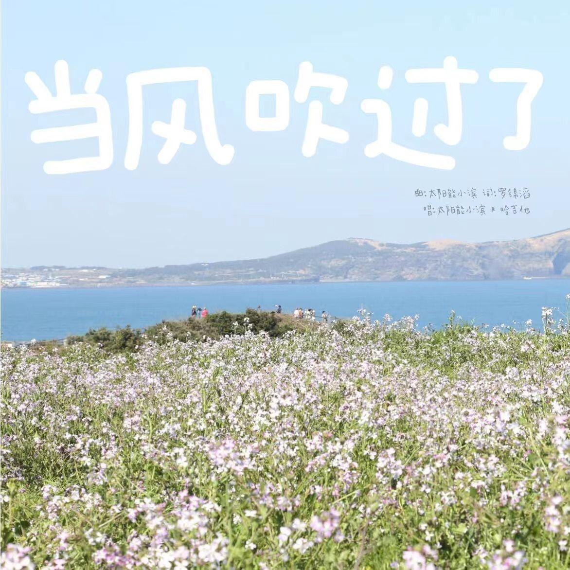 当风吹过了 伴奏