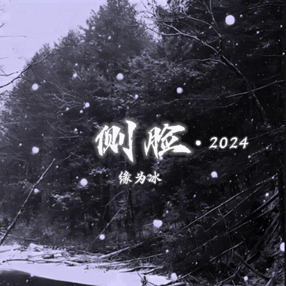 侧脸·2024