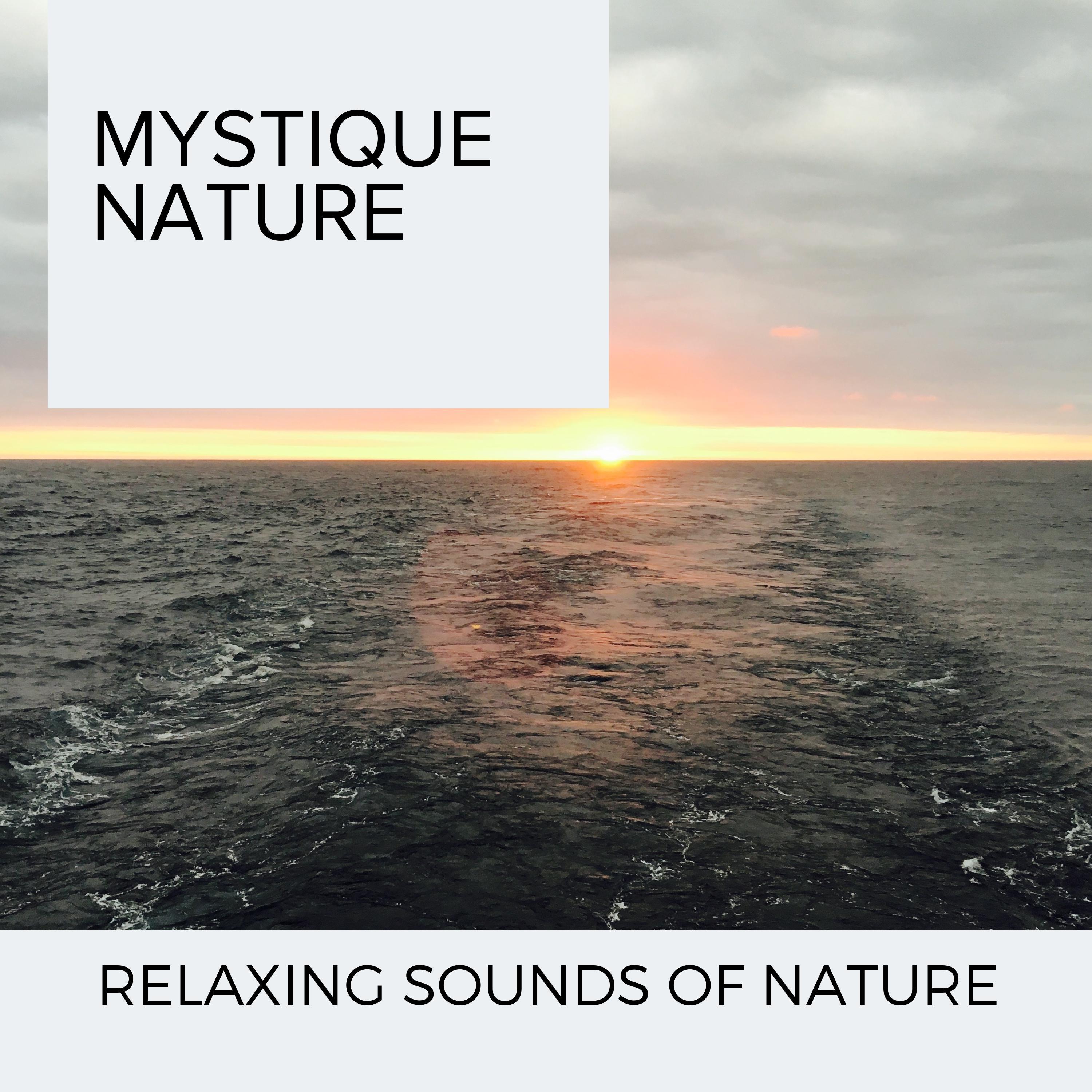 Dreamy Night Nature Music - Lift the Ocean Spirit