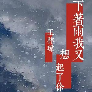 王林玮 - 下着雨我又想起了你（原版伴奏） （降4半音）