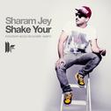 Shake Your专辑