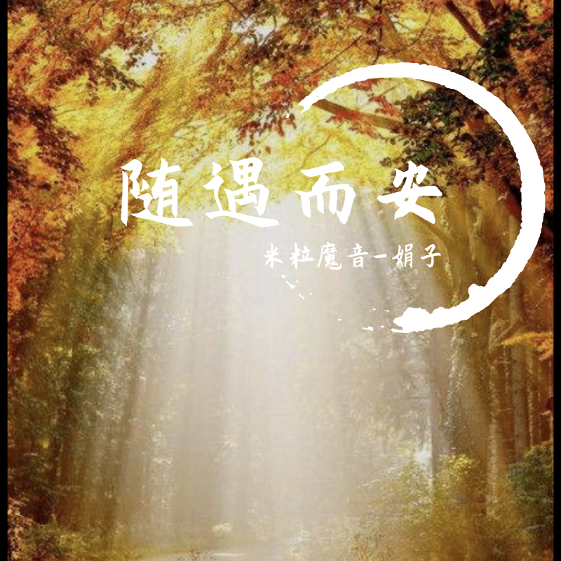 随遇而安