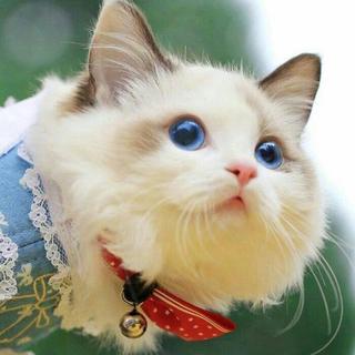 一个甜甜的歌单
