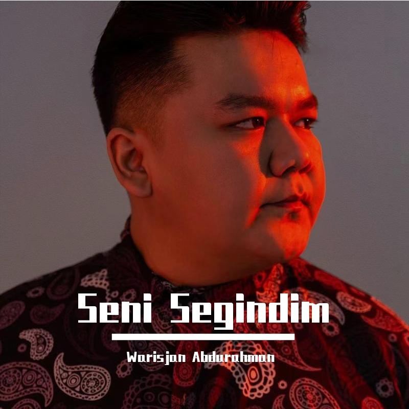 SENI SEGINDIM