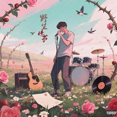 野玫瑰2.0