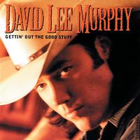 She's Really Something to See - David Lee Murphy (SC karaoke) 带和声伴奏