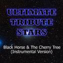 KT Tunstall - Black Horse & The Cherry Tree (Instrumental Version)专辑