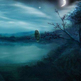 「日系」月光下的浅唱低语