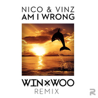 原版伴奏   Am I Wrong - Nico & Vinz (钢琴伴奏)  [无和声]