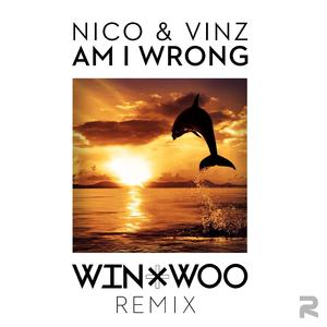 Am I Wrong - Nico & Vinz (Z karaoke) 带和声伴奏