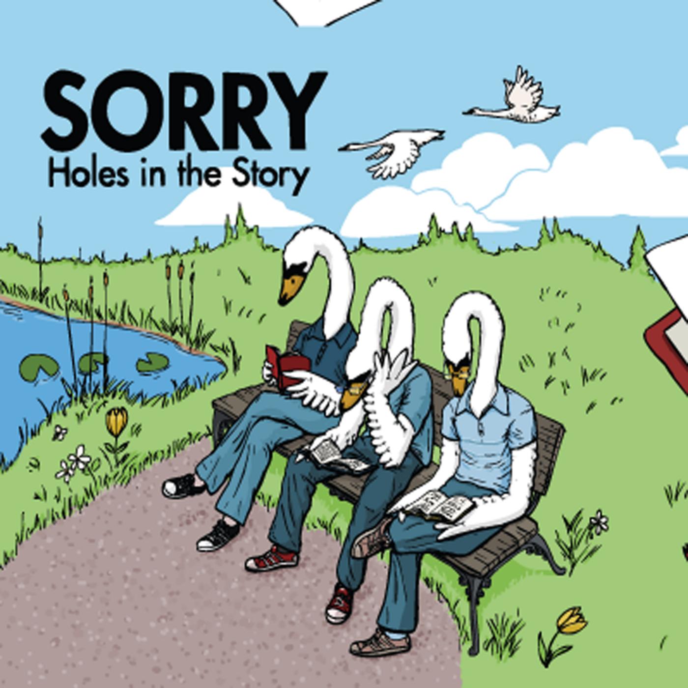 Holes in the Story