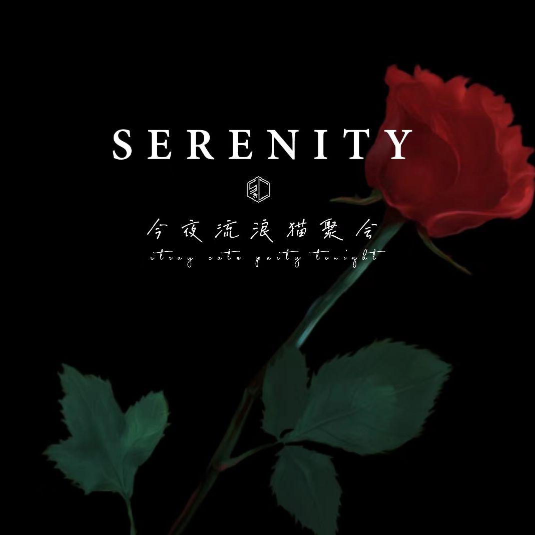 Serenity (Rearranged Version)专辑